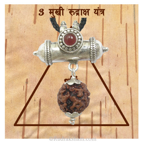  3 Mukhi Rudraksha Yantra Kavach - Teen Mukhi Rudraksha Yantra on Bhoj Patra | Original 3 ( Three ) Mukhi Rudraksha Bead Pendant | Ruling Planet Mars