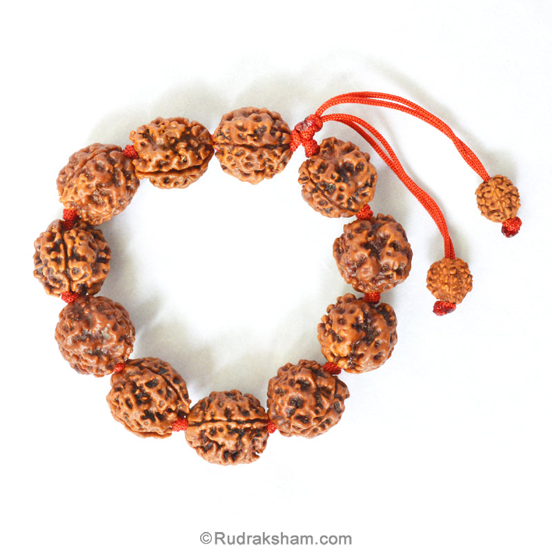 3 Mukhi Rudraksha Bead Mala Bracelet | Nepal Three Mukhi Rudraksha Thread Bracelet for Planet Mars | Eleven Beads of 3 Mukhi