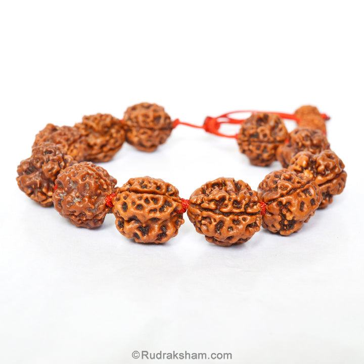 3 Mukhi Rudraksha Bead Mala Bracelet | Nepal Three Mukhi Rudraksha Thread Bracelet for Planet Mars | Eleven Beads of 3 Mukhi