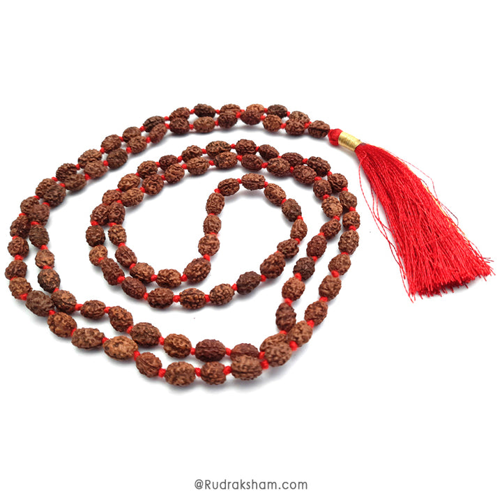  3 Mukhi Rudraksha Indonesian Beads Japa Mala | 108 Beads Java Three Mukhi Rudraksha Beads Kantha Mala | Teen Mukhi Mala Rosary
