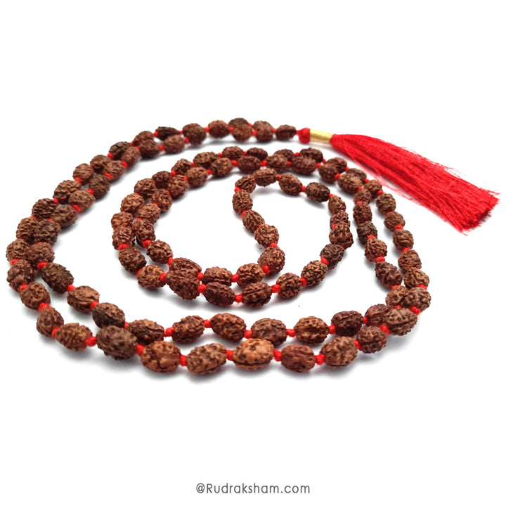  3 Mukhi Rudraksha Indonesian Beads Japa Mala | 108 Beads Java Three Mukhi Rudraksha Beads Kantha Mala | Teen Mukhi Mala Rosary