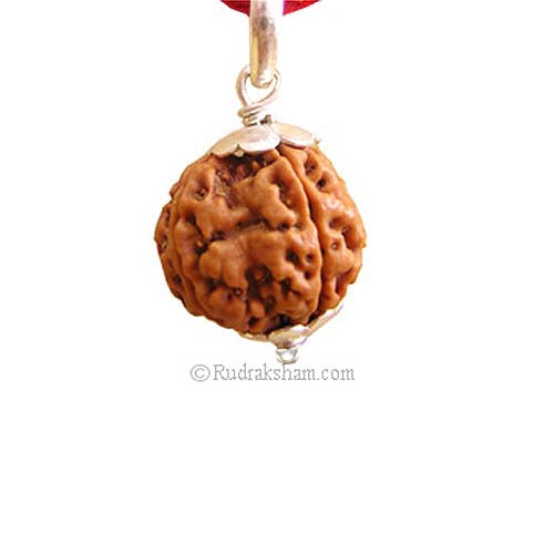 Collector 4 Mukhi Rudraksha Pendant | Four Faced Collector Rudraksha Silver Pendant 100% Original & Energised | Best Buy Online 