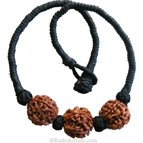 4 Mukhi Rudraksha Bead Triple Pendant In Thread | Four Mukhi