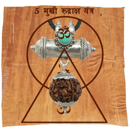 5 Mukhi Rudraksha Bead, Original and Pure 5 Faced Nepal Bead Paanch Mukhi