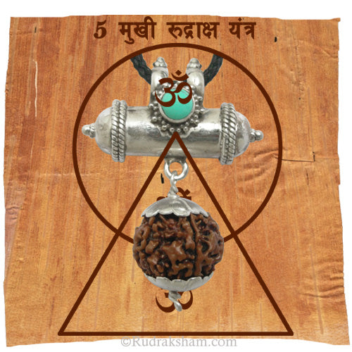  5 Mukhi Rudraksha Yantra Kavach - Five ( Paanch ) Mukhi Rudraksha Yantra on Bhoj Patra | Benefits of 5 Faced Rudraksha Bead Energised & Natural