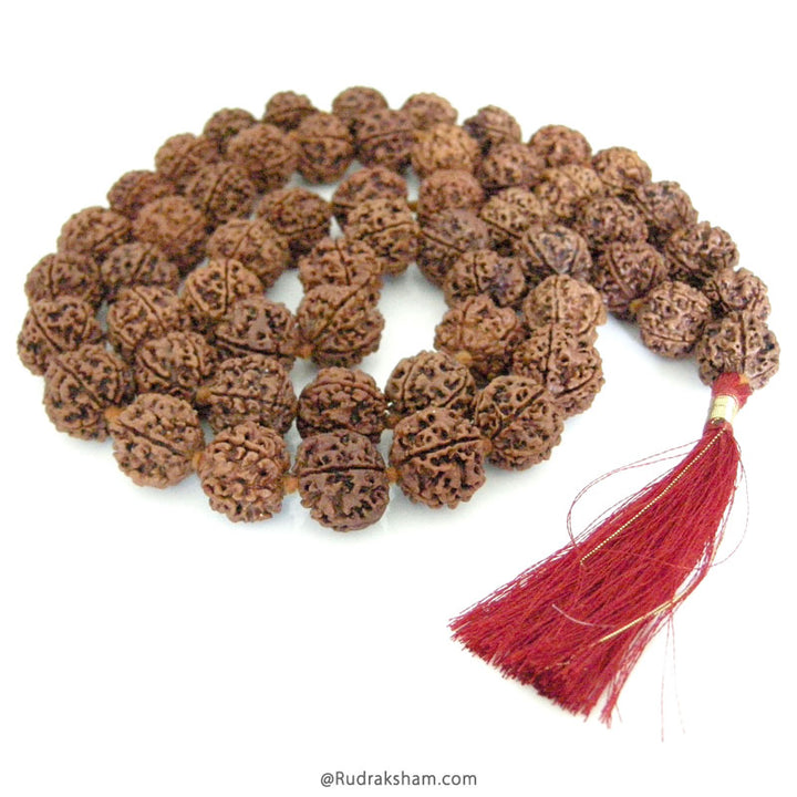 5 Mukhi Rudraksha Nepalese Japa Mala |  Nepal Rudraksha Beads Handknotted Kantha Mala In Thread 20mm - 22 mm
