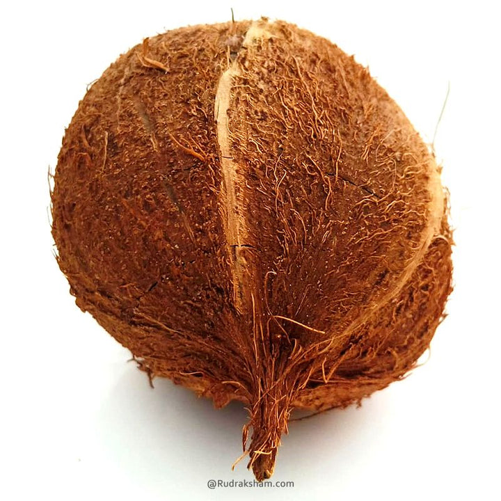 Five Eye Coconut Nariyal