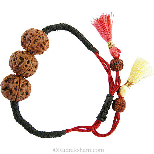  5 Mukhi Wrist Band - 2
