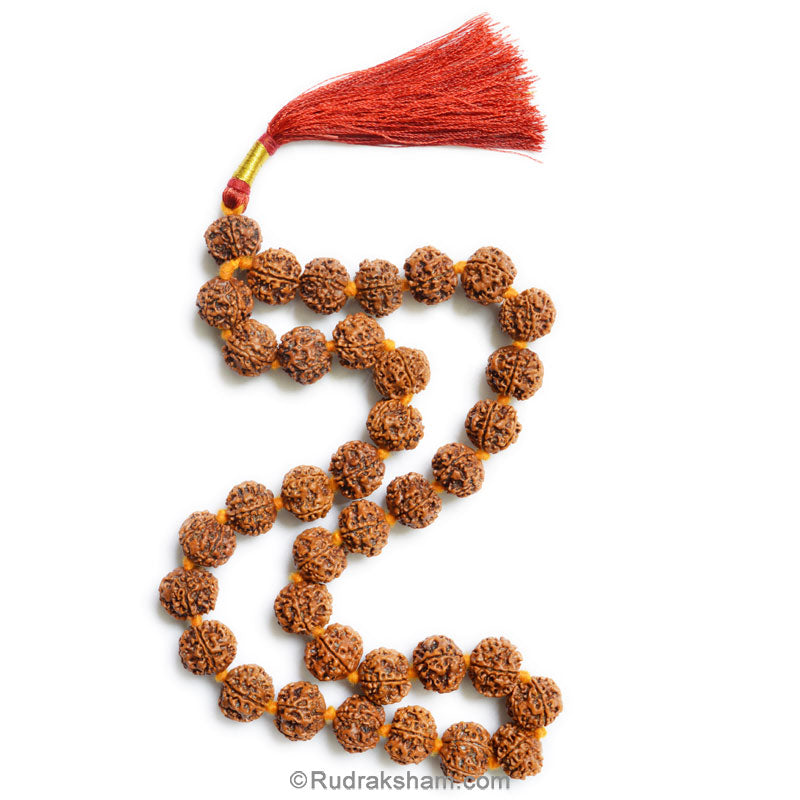  5 Mukhi Rudraksha Nepalese Japa Mala Rosary | 36 Beads Nepal Rudraksha Kantha Mala In Thread