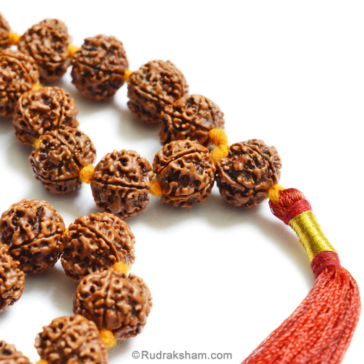  5 Mukhi Rudraksha Nepalese Japa Mala Rosary | 36 Beads Nepal Rudraksha Kantha Mala In Thread