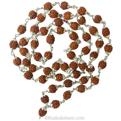 6 Mukhi Indonesian Rudraksha Mala Necklace | Six Mukhi Silver Caps Mala | Energised Java Six faced 54 Beads Mala Rosary