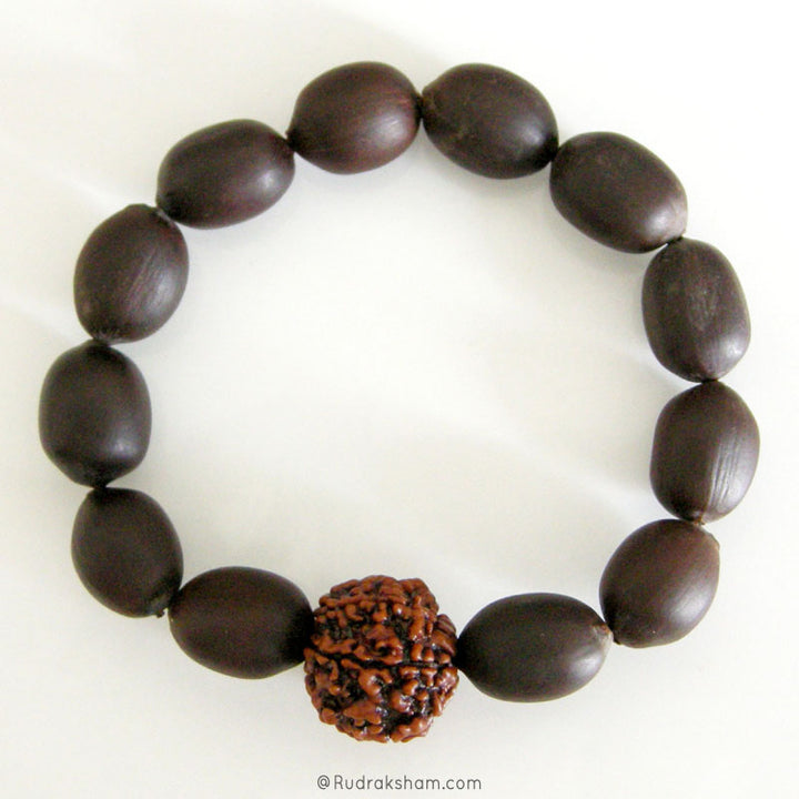 Wholesale Pack of 10  Lotus Seed Beads ( Kamalgatta ) Mala Bracelet with 6 Mukhi Rudraksha Bead | Original Energised Six Faced Nepal Bead Bracelet in Elastic