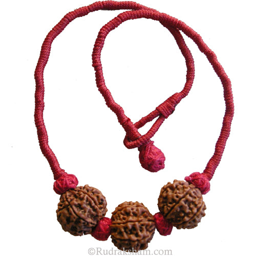6 Mukhi Rudraksha Bead Triple Pendant In Thread | Six Mukhi 