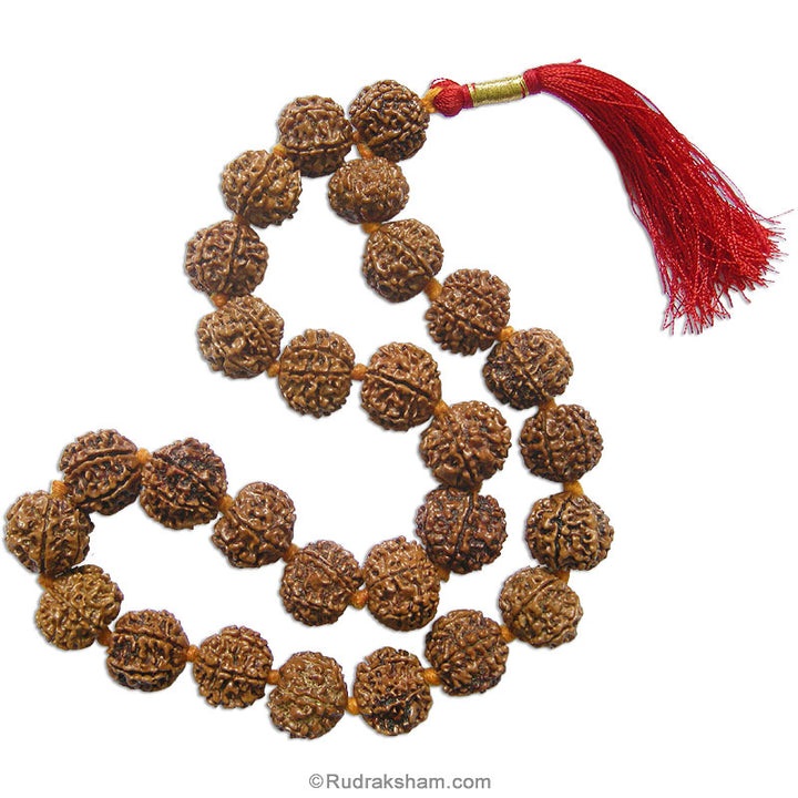 7 Mukhi Japa Mala