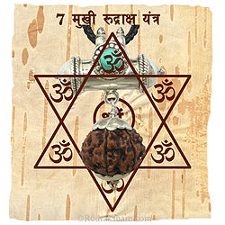 7 Mukhi Rudraksha Yantra Kavach - Seven Mukhi Rudraksha Yantra on Bhoj Patra - Collector 7 Mukhi Rudraksha Bead Pendant | Saat Mukhi Seven Faced Rudraksha Bead from Nepal