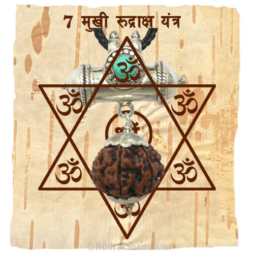  7 Mukhi Rudraksha Yantra Kavach - Seven Mukhi Rudraksha Yantra on Bhoj Patra | Buy Online Nepal Bead Seven / Saat Faced Original Energised Rudraksha Bead Pendant