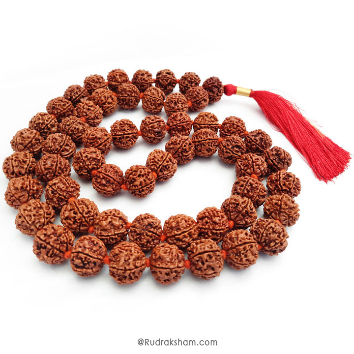 7 Mukhi Rudraksha Nepalese Japa Mala in Thread | 36 Beads Kantha Mala Necklace Seven Mukhi | Meditation Mala Rosary