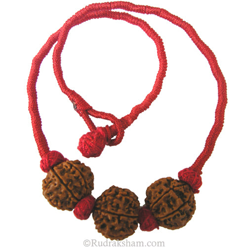 7 Mukhi Rudraksha Bead Triple Pendant in thread | Seven Mukhi 