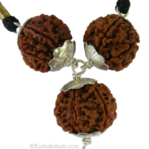 7 Mukhi Rudraksha Bead Triple Pendant in Silver | Seven Mukhi 