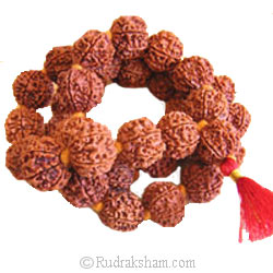  7 Mukhi Rudraksha Nepalese Japa Mala in Thread | 36 Beads Kantha Mala Necklace Seven Mukhi | Meditation Mala Rosary
