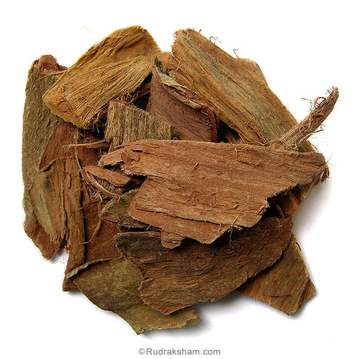 Arjuna - Terminalia Herb