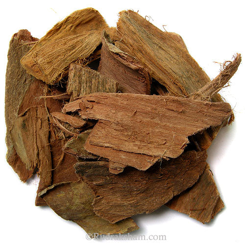  Arjuna - Terminalia Herb