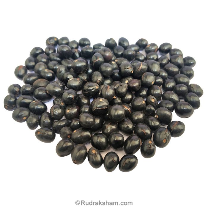 Black Chirmi Beads / Kaali Gunja Seed Beads, Black Gunja 51 Beads Set, To remove Black Magic & Evil, Bring Good Luck and Wealth