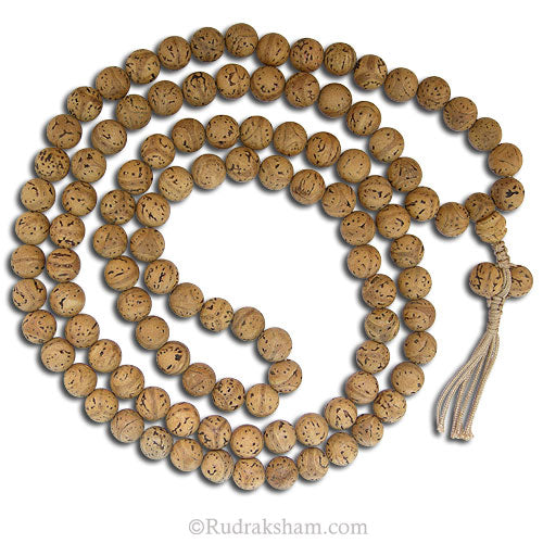 Bodhi Seed Prayer Beads Mala | Authentic Bodhi Seed Mala Rosary