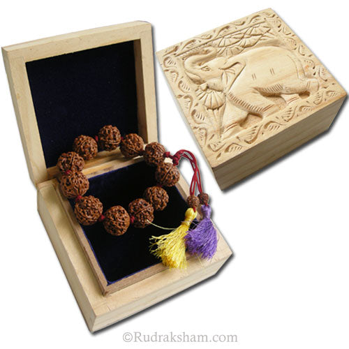 (16-20mm) 5 Mukhi Rudraksha Beads Mala Bracelet | Carved Wooden Box Included with Five Faced Thread Bracelet 