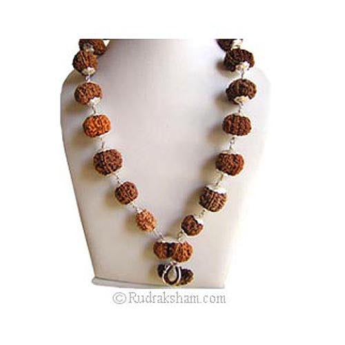 1 to 14 Mukhi Energized Collector Rudraksha Kantha Mala With Gauri Shankar and Ganesh Bead | Configuration - 2