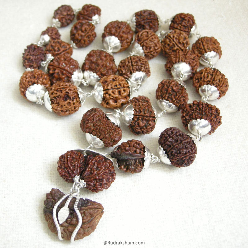 27+1 Collector Rudraksha Beads Kantha Mala | Energised 1 to 14 Mukhi Gauri Shankar and Ganesha Beads | Configuration - 1