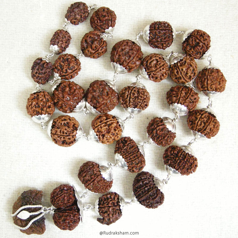 27+1 Collector Rudraksha Beads Kantha Mala | Energised 1 to 14 Mukhi Gauri Shankar and Ganesha Beads | Configuration - 1
