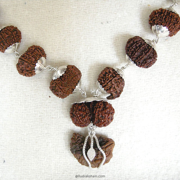 27+1 Kantha Mala Fine Rudraksha Beads | Energised Meditation mala from 1 Mukhi to 14 Mukhi Ganesh Gauri Shankar Bead | Configuration - 1