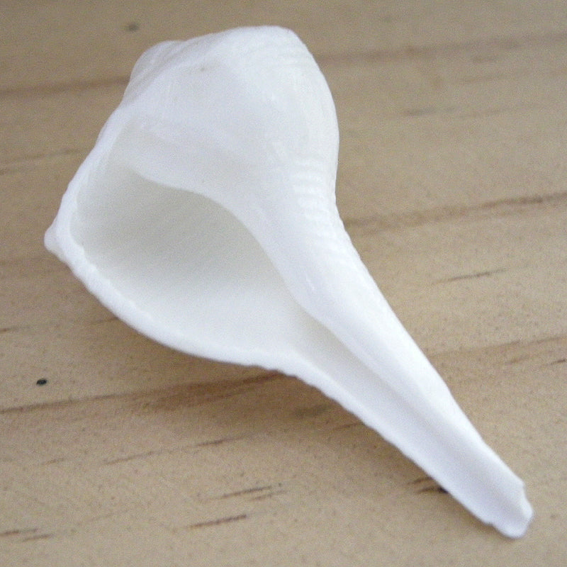  Pooja Sankh for Wealth and Prosperity