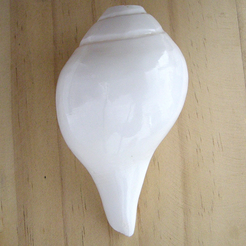  Left Hand Conch Shell Sankh