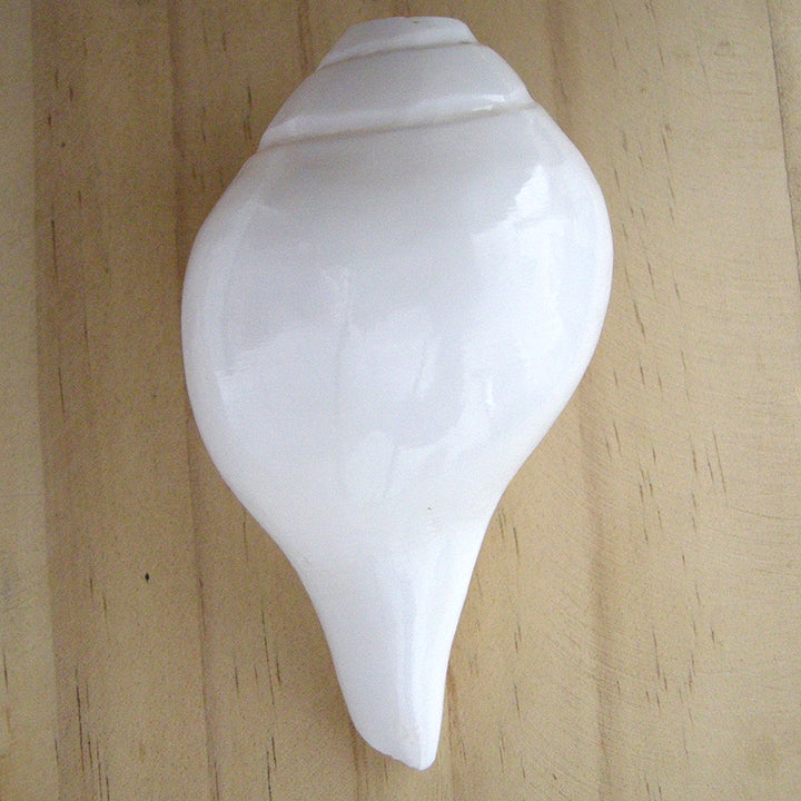  Left Hand Conch Shell Sankh