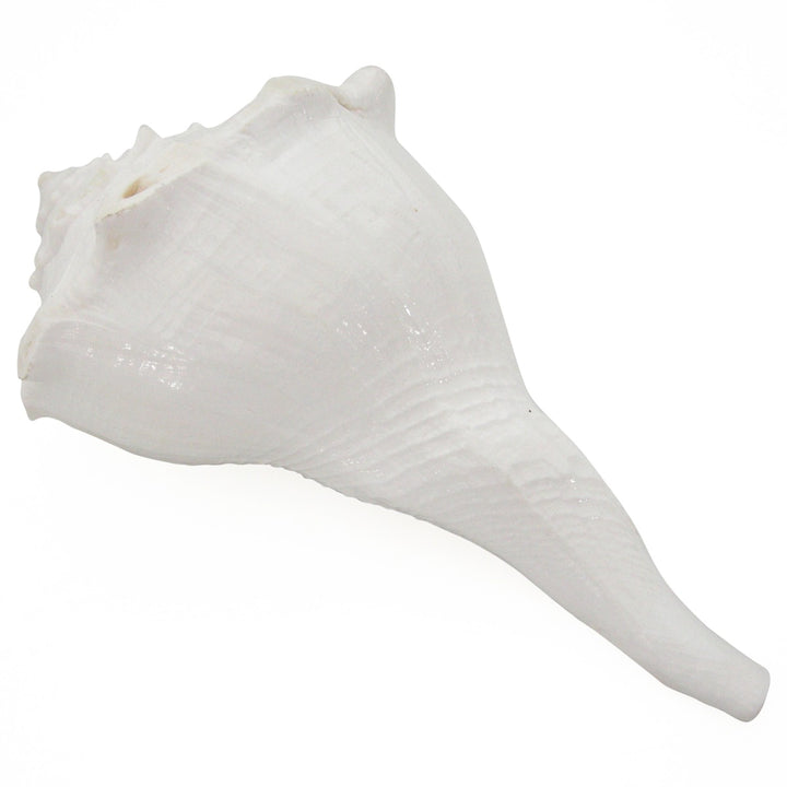  Fill Gangajal and Chirmi Beads