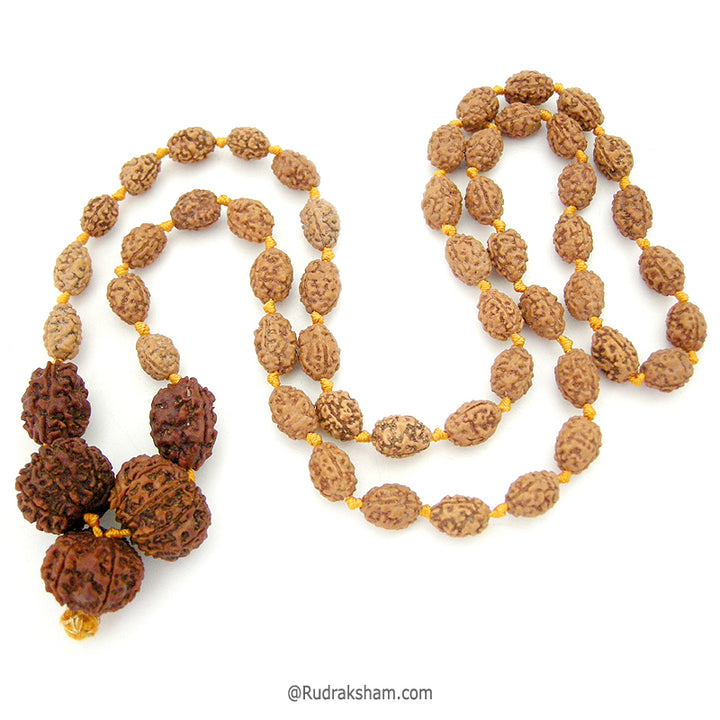  11 Mukhi Nepal Rudraksha Beads | for Luck