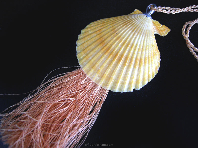  Scallop Shell Pendant with matching Cord Necklace