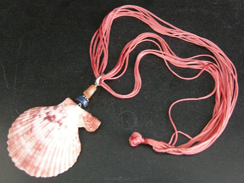  Real Natural Sea Shell Necklace