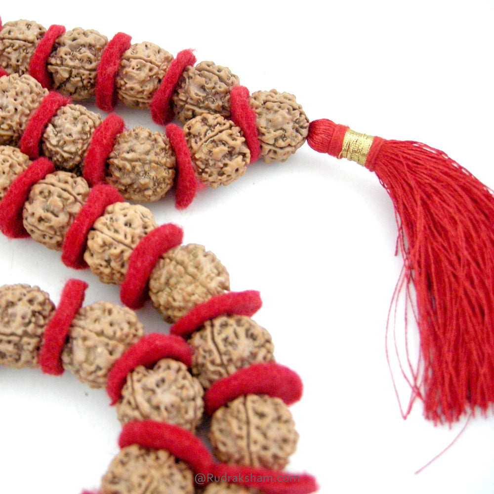 (18-20mm) 5 Mukhi Rudraksha Bead Kantha Mala Necklace 54 Beads