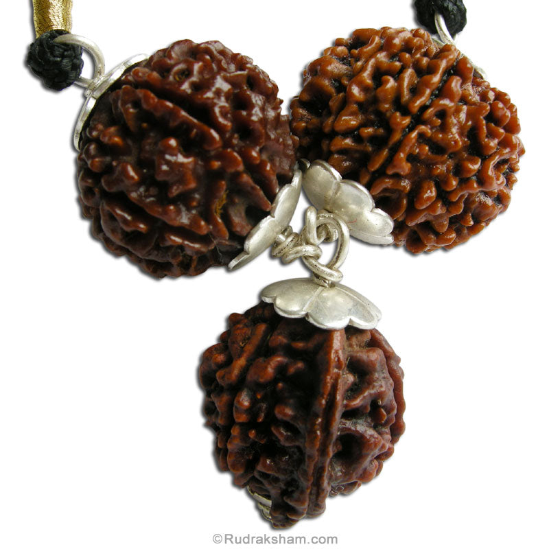 Ganesh Lakshmi Power Pendant | 6 Mukhi Rudraksha, 8 Mukhi Rudraksha And Ganesh Rudraksha Combination Pendant In Silver | For Blessings of Goddess Lakshmi
