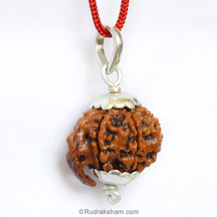 Ganesh Rudraksha Bead Pendant from Nepal for the Blessings of Lord Sri Ganesha with Silver caps and Wire