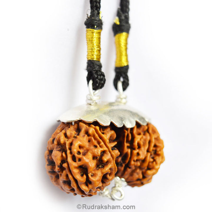 Collector Gauri Shankar Rudraksha Bead Pendant for Meditation from Nepal