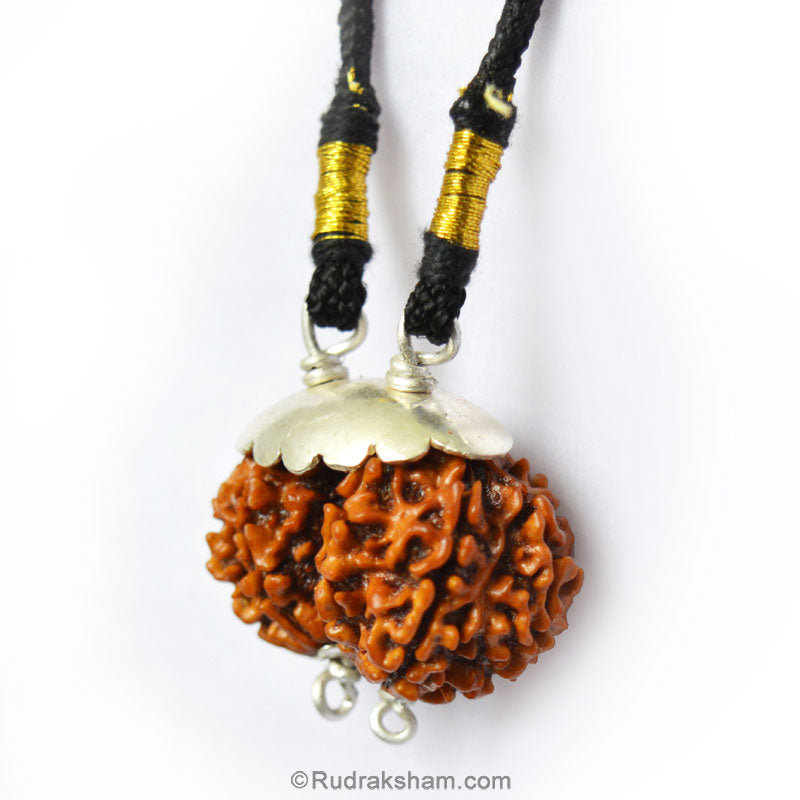 Gauri Shankar Rudraksha Bead Pendant | Shiv Parvati Rudraksha Pendant from Nepal for Meditation and Sadhana In Silver Caps