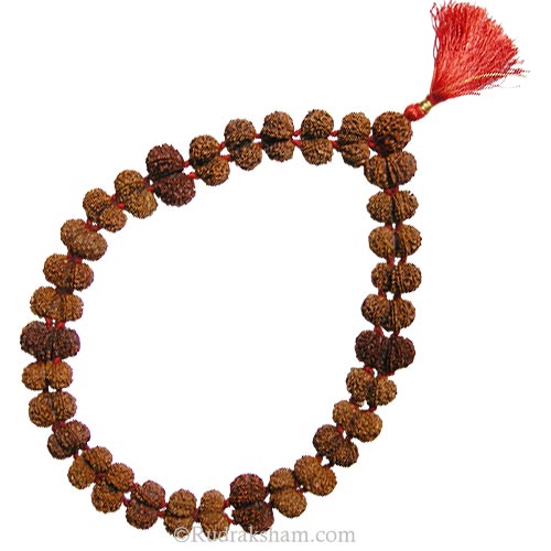  Gauri Shankar Rudraksha Kantha Mala Necklace | Original Energised Shiv Parvati Beads from Nepal