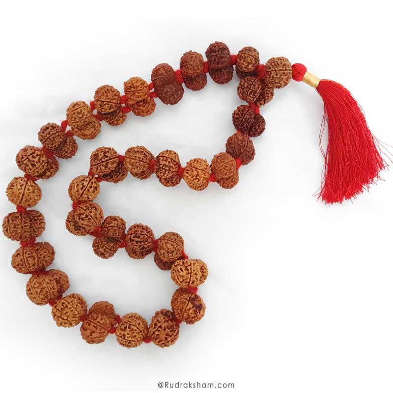  Gauri Shankar Rudraksha Kantha Mala Necklace | Original Energised Shiv Parvati Beads from Nepal