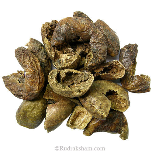  Haritaki - Terminalia Chebula Herb