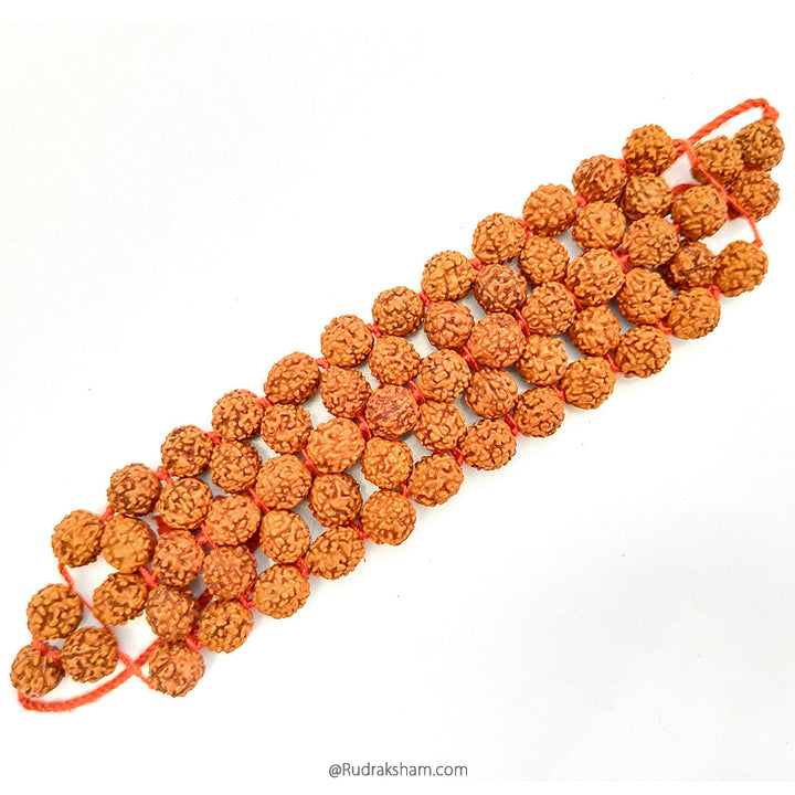 Rudraksha Healing Band / Rudraksha Healing Wrist Band / Rudraksha Healing Hand Band / Rudraksha Healing Bracelet