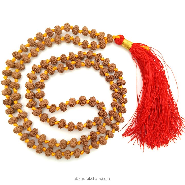 6 Mukhi Rudraksha Indonesian Beads Japa Mala | 108 Beads Java Six Mukhi Rudraksha Beads Mala Rosary | 6 Mukhi Beads for Venus 